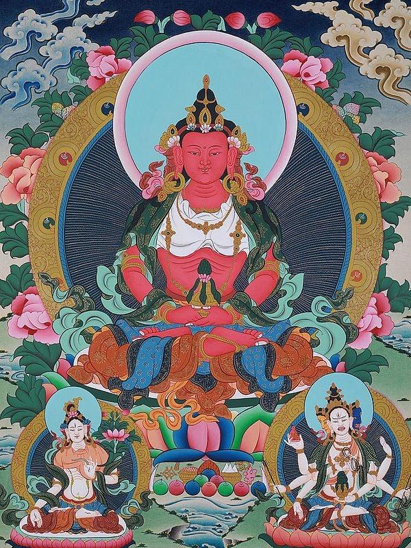 Exotic India Lord Aparmita Buddha Hand-Painted | Brocadeless Thangka Painting 