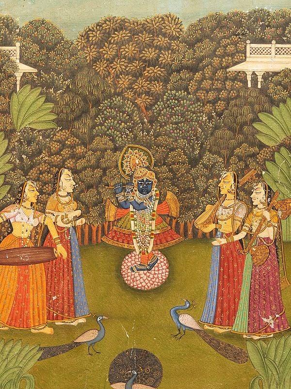 Exotic India Lord Krishna As Shrinath Ji | Watercolor On Paper