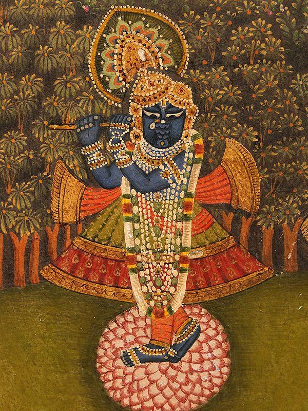 Exotic India Lord Krishna As Shrinath Ji | Watercolor On Paper