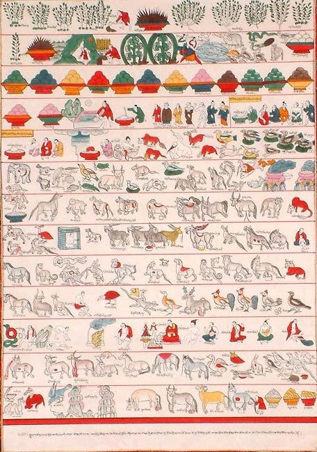 exotic india Materia Medica of Animal Mineral and Vegetable Origin 