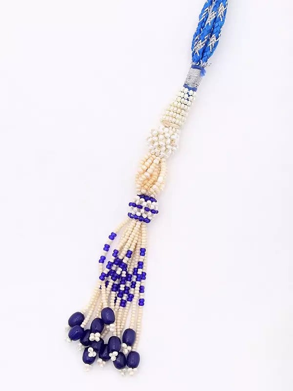 Exotic India Meenakari Crocodile Design Necklace And Earrings Set With Tanzanite Beads 