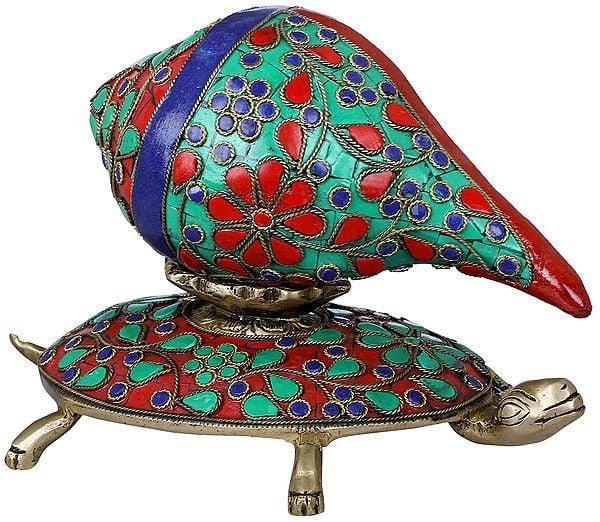 exotic india Meenakari Designs Brass Vastu Conch on Tortoise 