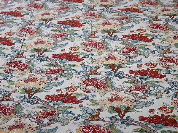 Exotic India Multicolor Pure Cotton Queen Size Bedsheet With Floral Vines Printed And Two Pillow Cover