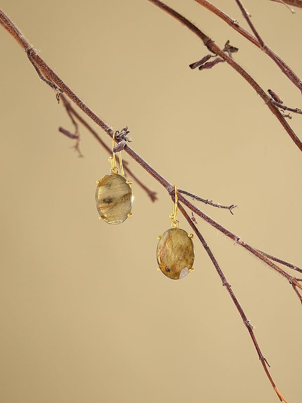 Exotic India Oval Shape Faceted Labradorite Hook Earrings 