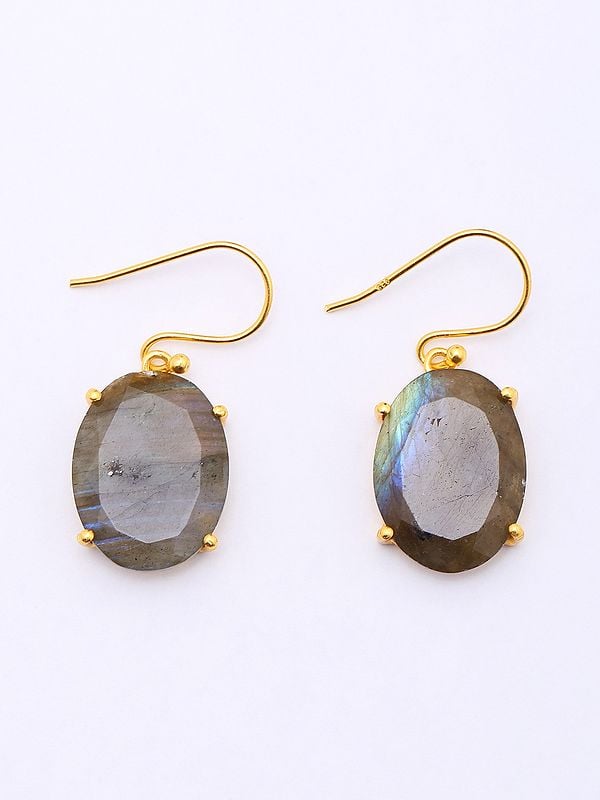 exotic india Oval Shape Faceted Labradorite Hook Earrings 