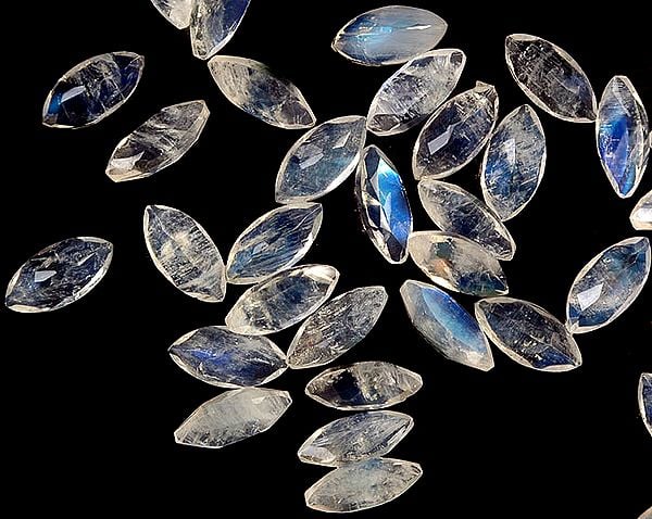 exotic india Rainbow Moonstone Marquis (Price Per 8 Pieces)