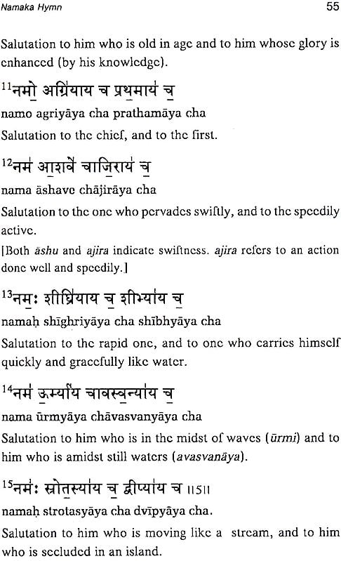 Exotic India Rudra Mantras: From Taittiriya Samhita (Namaka Chamaka Shiva-Sankalpa Inner Yajna And Suparna) (Sanskrit Text With Transliteration And English Translation) 