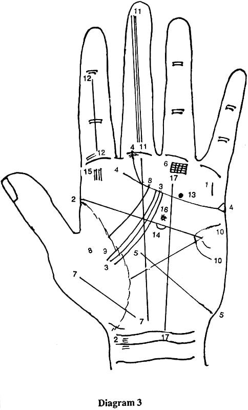 Exotic India Samudrika Siksha Or Lessons On Palmistry 