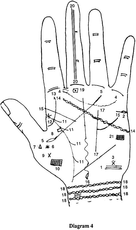 Exotic India Samudrika Siksha Or Lessons On Palmistry 