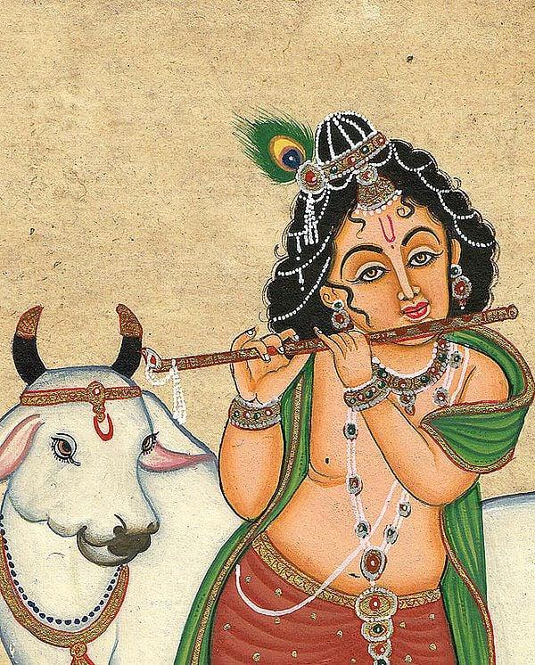 Exotic India See What Happens When You Eat Stolen Butter