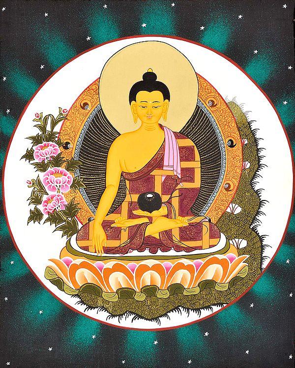 exotic india Shakyamuni As Bhaishajyaguru (The Medicine Buddha) -Tibetan Buddhist 