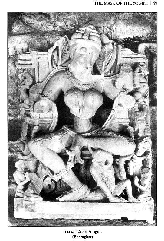 Exotic India Sixty-Four Yoginis (Cult Icons And Goddesses) 