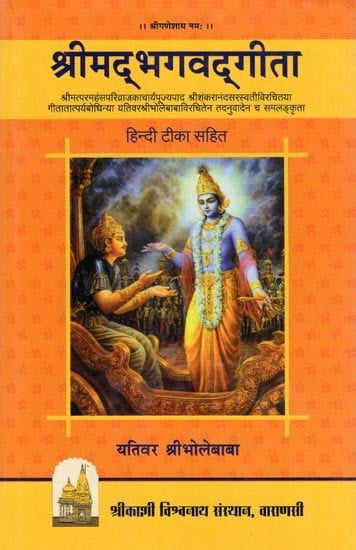 exotic india श्रीमद्भगवद्गीता- Srimad Bhagavad Gita with Hindi Commentary 