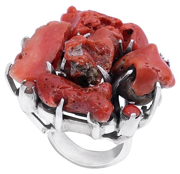 exotic india Sterling Silver Ring Studded with Rugged Red Coral 