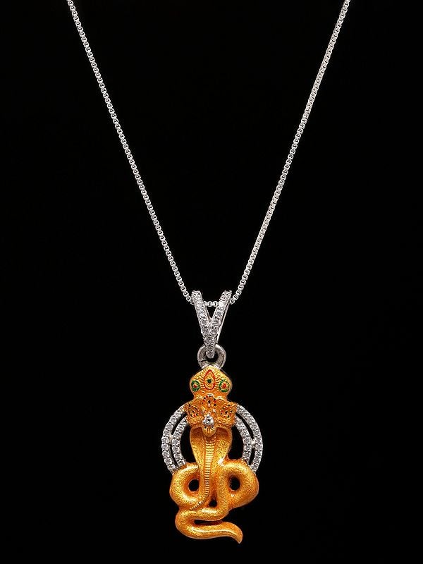 Exotic India Stone Studded Goga Maharaj Folk Deity Pendant 