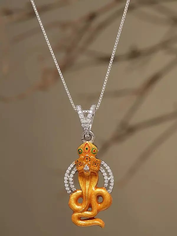 Exotic India Stone Studded Goga Maharaj Folk Deity Pendant 