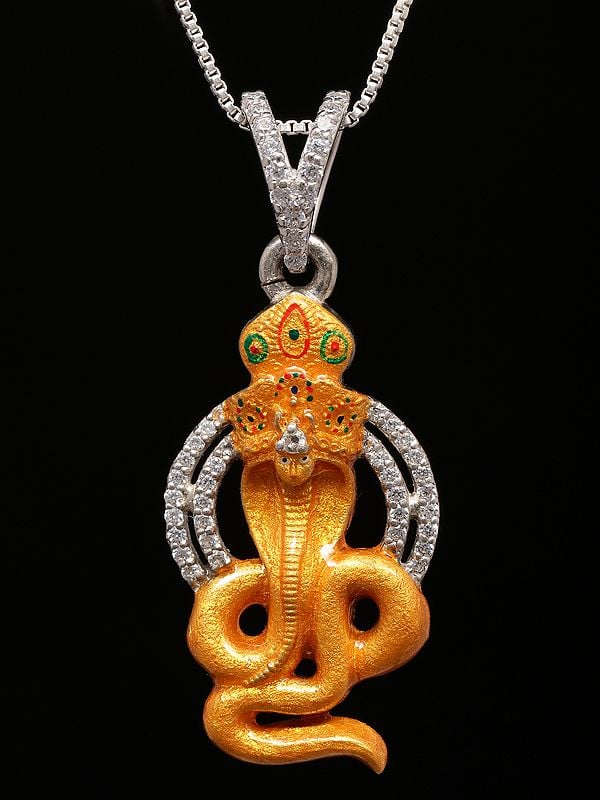 exotic india Stone Studded Goga Maharaj Folk Deity Pendant