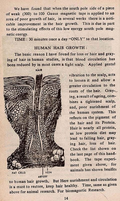 Exotic India The Anatomy Of Biomagnetism (An Old And Rare Book) 