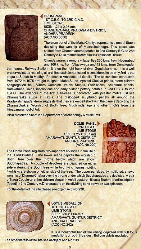 Exotic India The Buddhist Gallery: Companion Guide Book 