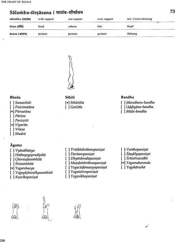 Exotic India The Heart Of Asana (A Big Comprehensive Manual Of Classical Yoga Postures) 