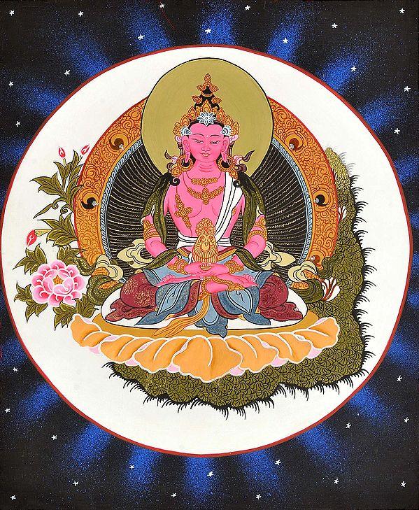 exotic india Tibetan Buddhist Deity Amitabha as Amitayus Buddha 