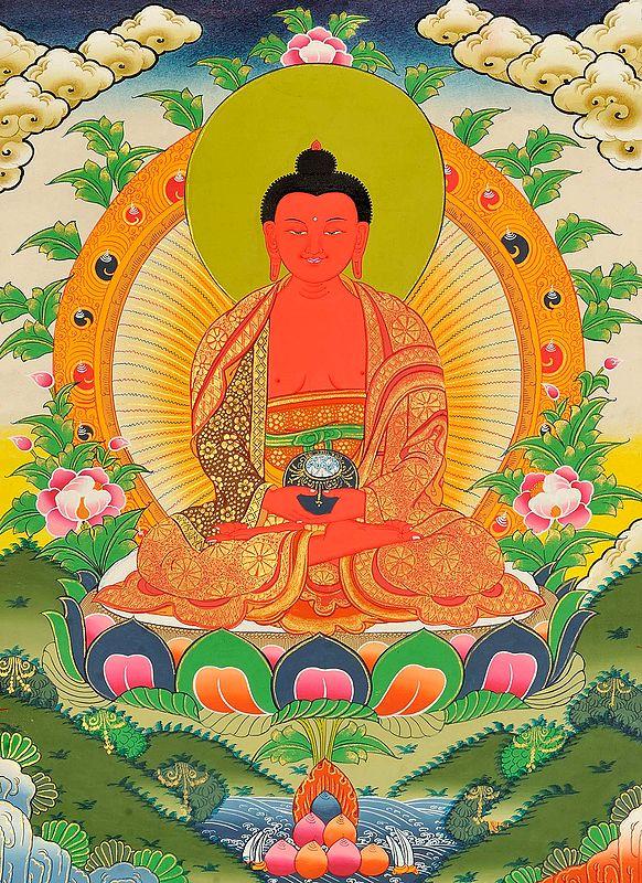 exotic india Tibetan Buddhist Deity Amitabha - The Buddha of Infinite Light 