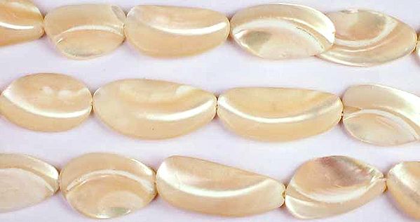 exotic india Trochid Shell Beads | Semi-Precious Gemstone Drops