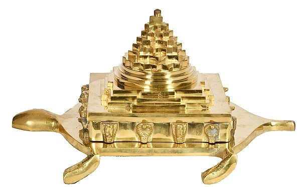 exotic india Vastu Brass Yantra Tortoise With Several Snake Hoods 