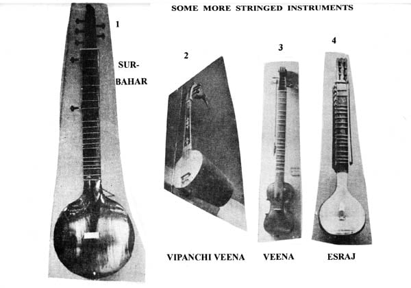 Exotic India Veena: The Instrument Par-Excellence (With Notation) 