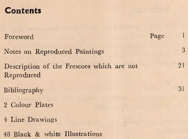 Exotic India Wall Paintings Of Rajasthan- Jaipur Galta Kota Nagaur (An Old And Rare Book) 
