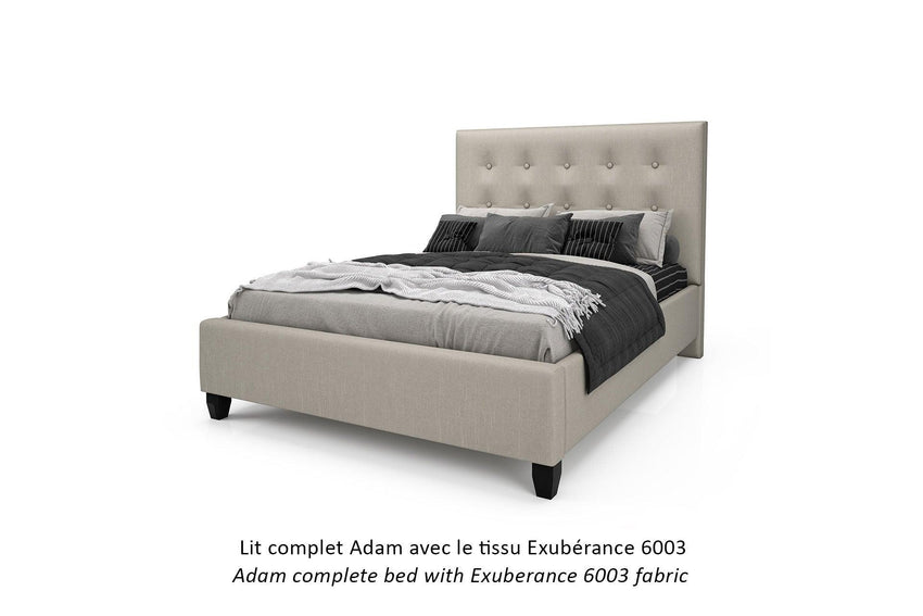 F2 Adam Bed BEDROOM