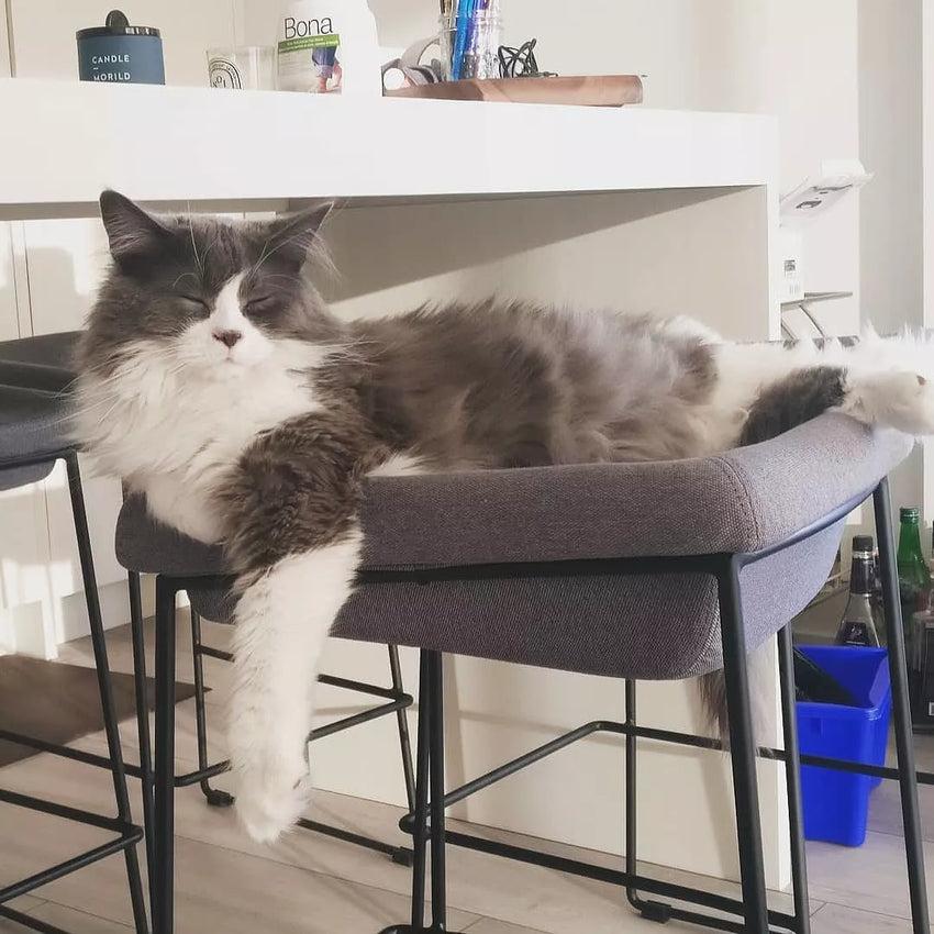 F2 MacKenzie Stool (Clearance) DINING