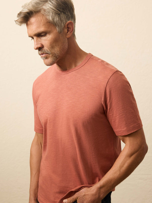 Faherty Sunwashed Regenerative Tee - Dusty Sienna Men's Knits