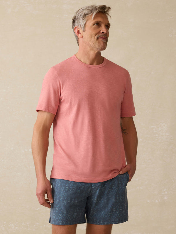 faherty Sunwashed Regenerative Tee - Faded Flag Men's Knits