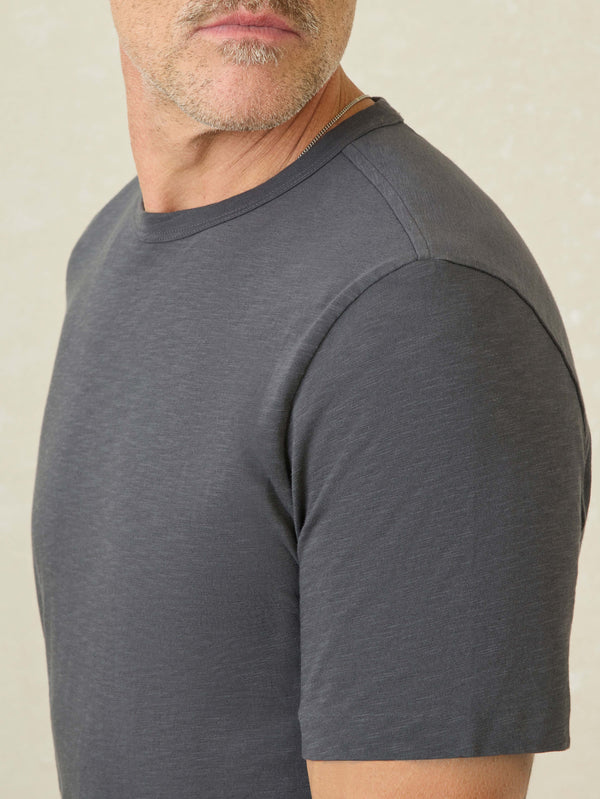 Faherty Sunwashed Regenerative Tee - Graphite Men's Knits