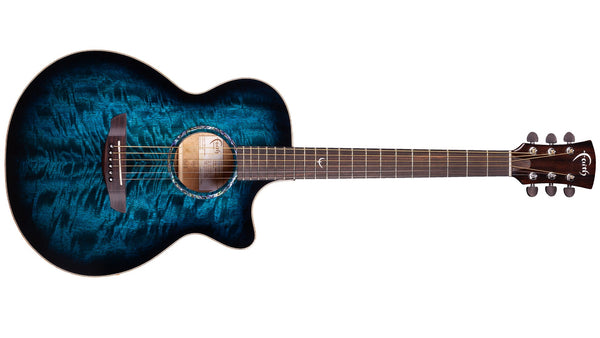 Faith Blue Moon Venus - Cutaway Electro
