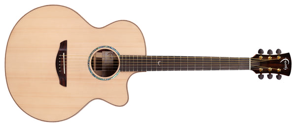 Faith HiGloss Jupiter - Cutaway