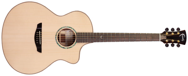 Faith HiGloss Neptune - Cutaway Electro