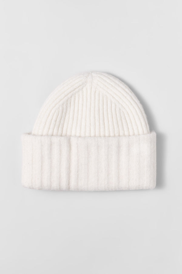 fall winter spring summer Ashi Papyrus