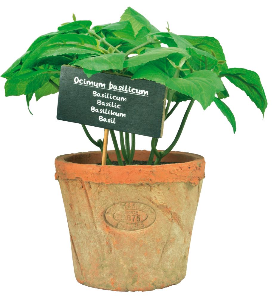fallen fruits ARTIFICIAL BASIL IN AGED TERRACOTTA POT (LARGE)