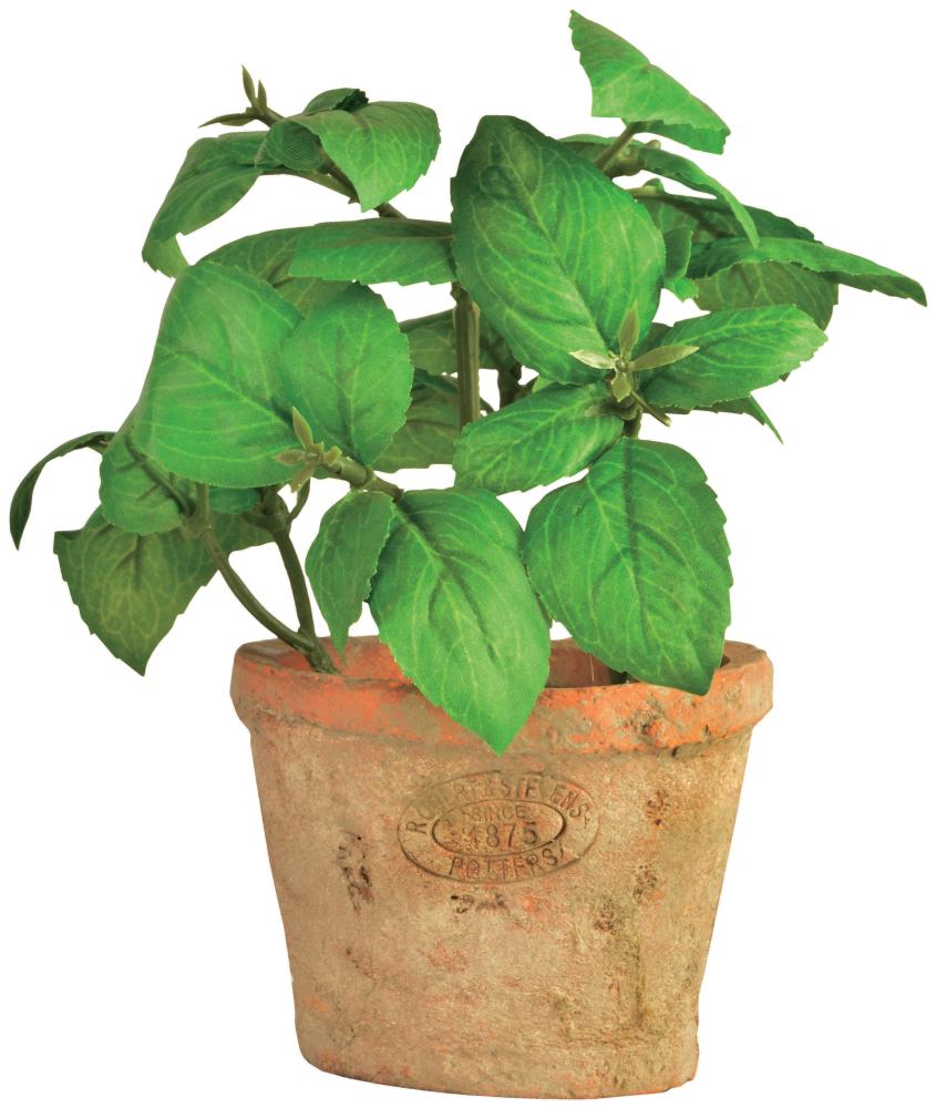 fallen fruits ARTIFICIAL BASIL IN AGED TERRACOTTA POT (SMALL)