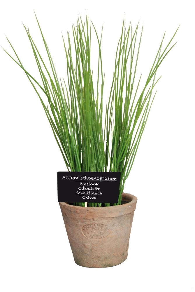 fallen fruits ARTIFICIAL CHIVES IN AGED TERRACOTTA POT (LARGE)