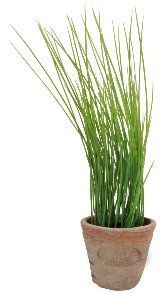 fallen fruits ARTIFICIAL CHIVES IN AGED TERRACOTTA POT (SMALL)