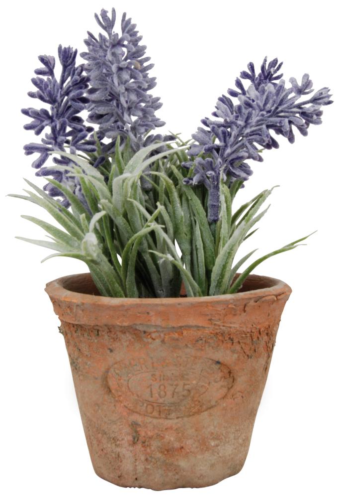 fallen fruits ARTIFICIAL LAVENDER IN AGED TERRACOTTA POT (SMALL)