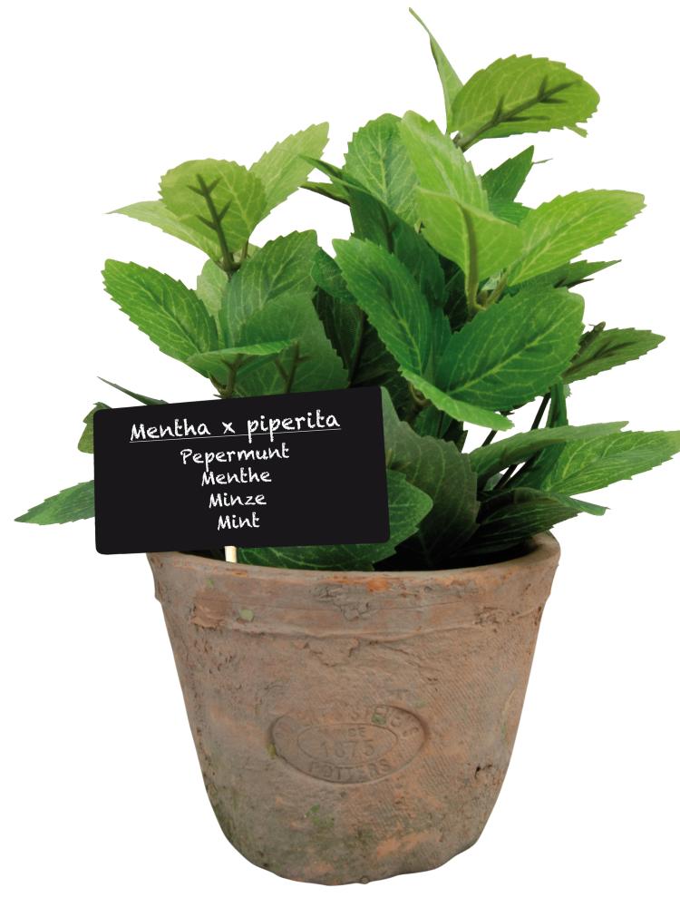 fallen fruits ARTIFICIAL MINT IN AGED TERRACOTTA POT (LARGE)