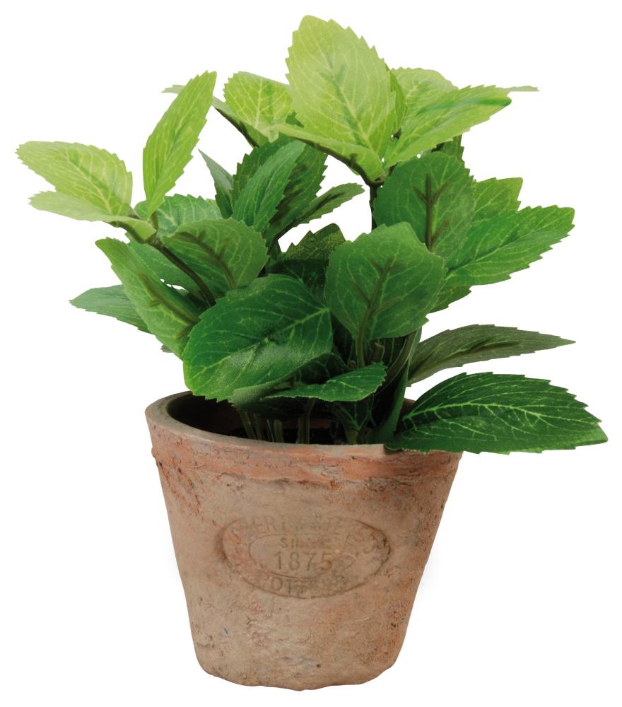 fallen fruits ARTIFICIAL MINT IN AGED TERRACOTTA POT (SMALL)