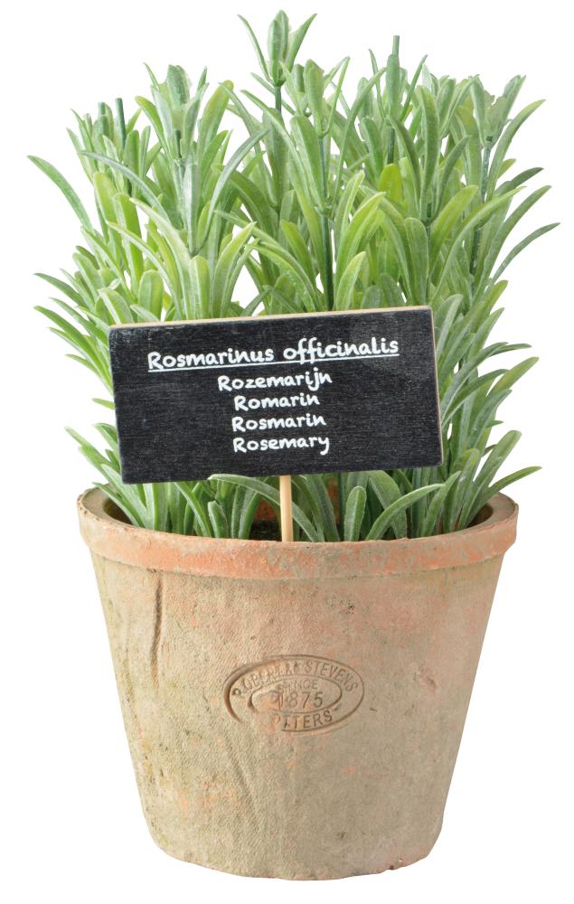 fallen fruits ARTIFICIAL ROSEMARY IN AGED TERRACOTTA POT (LARGE)