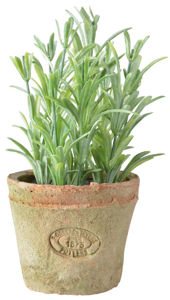 fallen fruits ARTIFICIAL ROSEMARY IN AGED TERRACOTTA POT (SMALL)