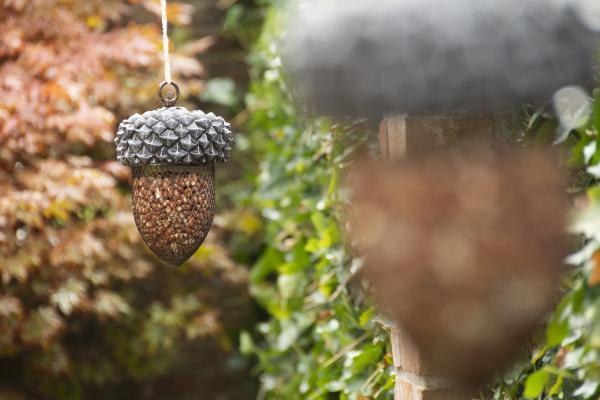 Fallen Fruits ACORN BIRD FEEDER
