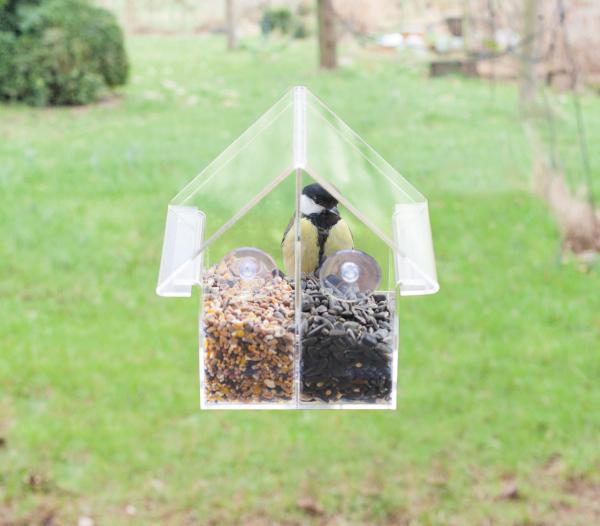 Fallen Fruits ACRYLIC COMBI WINDOW FEEDER HOUSE